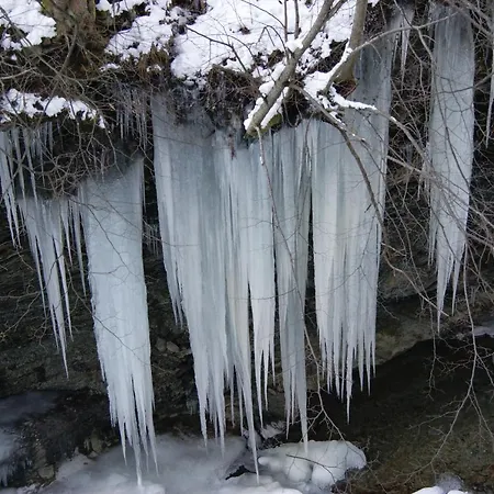 Ristorante Pace Bognanco