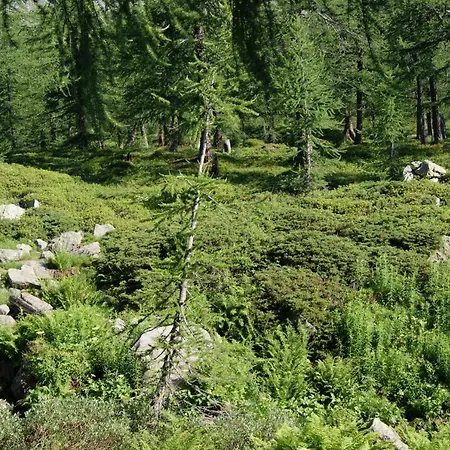 Hotel Ristorante Pace 3*