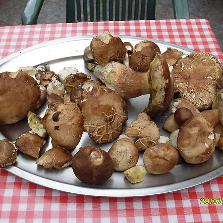 Hotel Ristorante Pace Bognanco